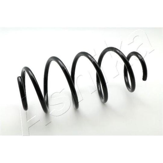 Ashika Coil Spring to suit Ford