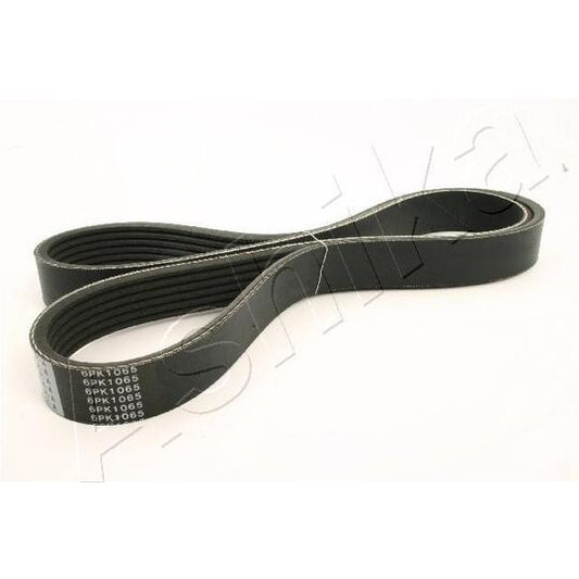 Ashika V-Ribbed Belt to suit Nissan