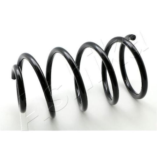 Ashika Coil Spring to suit Ford