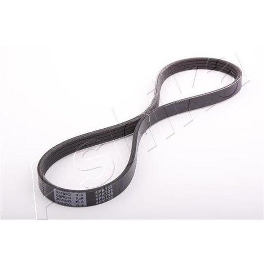 Ashika V-Ribbed Belt to suit Nissan