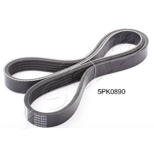 Ashika V-Ribbed Belt to suit Toyota, Hyundai, Kia
