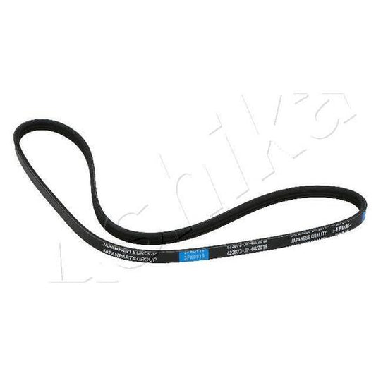 Ashika V-Ribbed Belt to suit Fiat