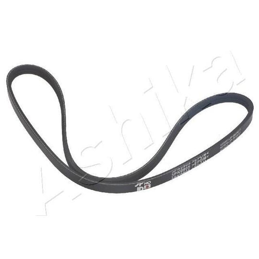 Ashika V-Ribbed Belt to suit Fiat