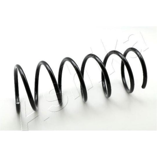 Ashika Coil Spring to suit Ford