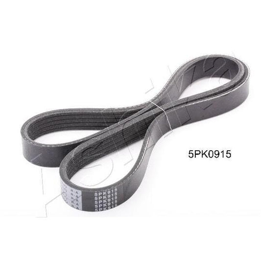Ashika V-Ribbed Belt to suit Mitsubishi, Mercedes-Benz, Smart