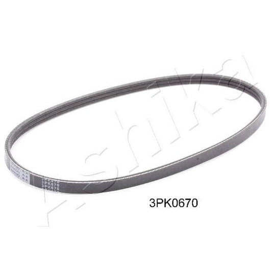 Ashika V-Ribbed Belt to suit Nissan