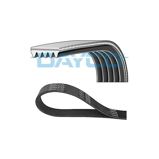 Magneti Marelli V-Ribbed Belt to suit Mitsubishi, Toyota, Daihatsu