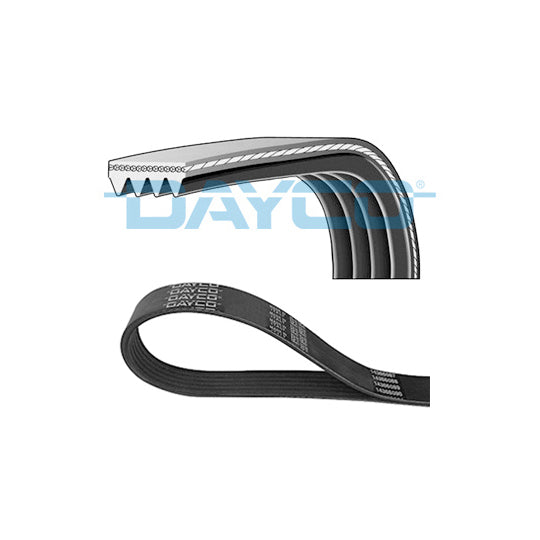 Dayco V-Ribbed Belt to suit Mitsubishi, Honda, Nissan