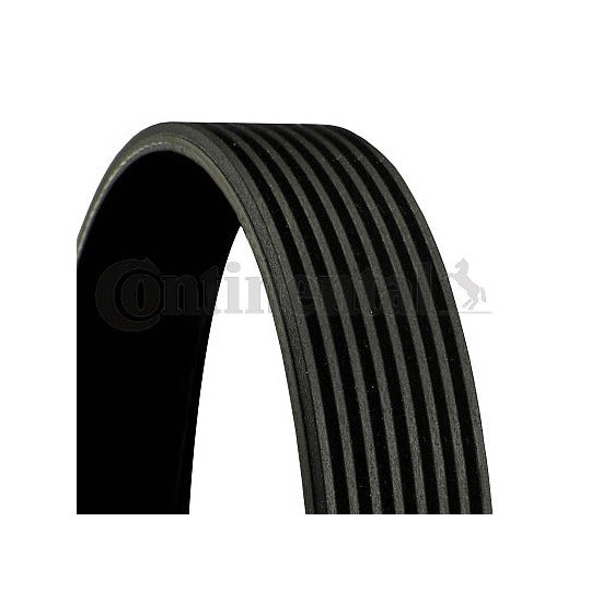 Gates V-Ribbed Belt to suit Ford, Mercedes-Benz, Iveco