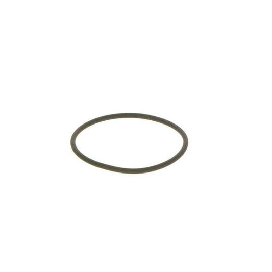 Bosch Seal Ring to suit Iveco, Cummins, Daf