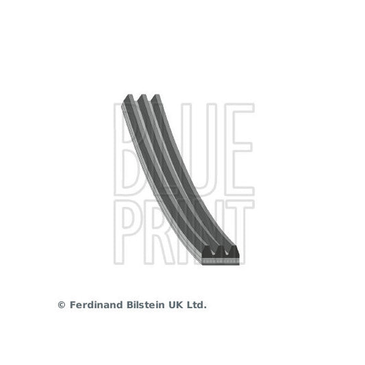 Blue Print V-Ribbed Belt to suit Toyota