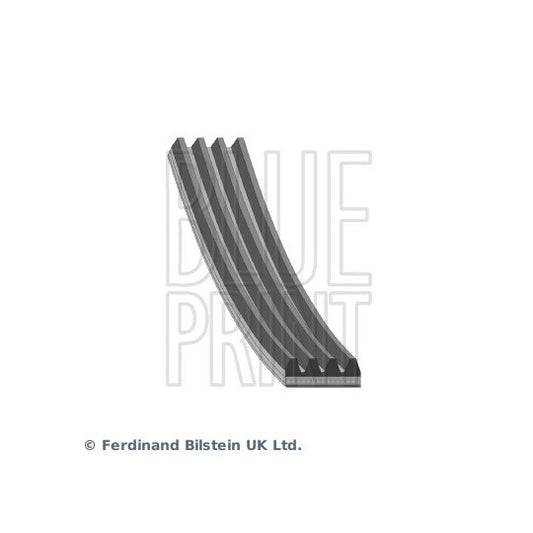 Blue Print V-Ribbed Belt to suit Mitsubishi, Nissan