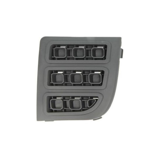 Blic Ventilation Grille, bumper to suit Ford