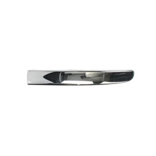 Blic Trim/Protective Strip, bumper to suit Fiat