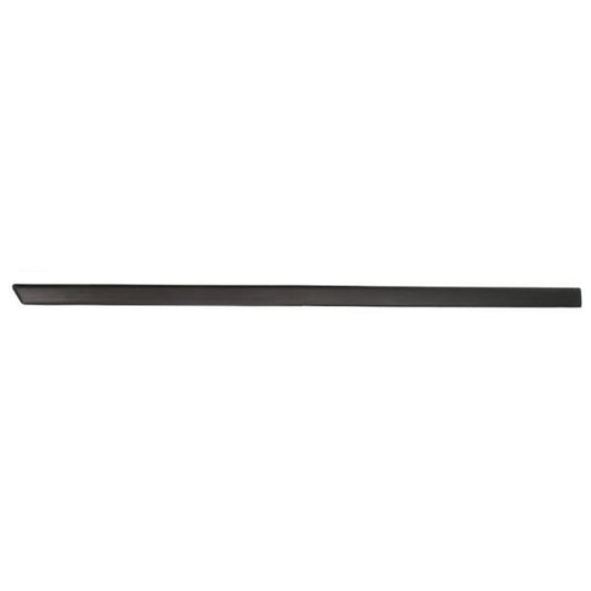 Blic 5703-04-2564575P Trim/Protective Strip, door to suit Ford