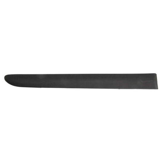 Blic Trim/Protective Strip, door to suit Ford