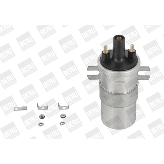 Borgwarner (Beru) Ignition Coil to suit Mitsubishi, Toyota, Ford