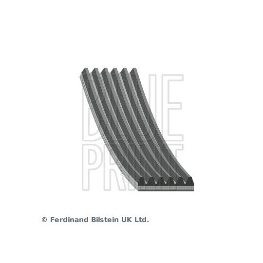 Blue Print V-Ribbed Belt to suit Toyota, Ford, Mazda