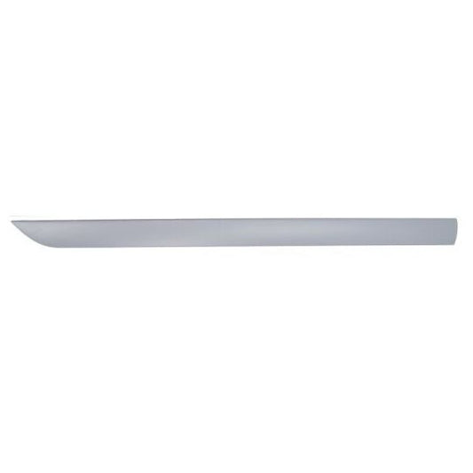 Blic Trim/Protective Strip, door to suit Ford