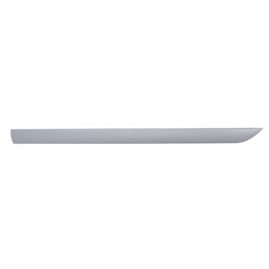 Blic Trim/Protective Strip, door to suit Ford