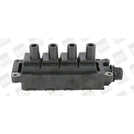 Borgwarner (Beru) Ignition coil to suit BMW, Hitachi