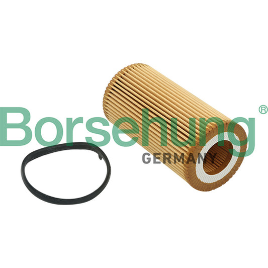 Borsehung Oil filter to suit VAG