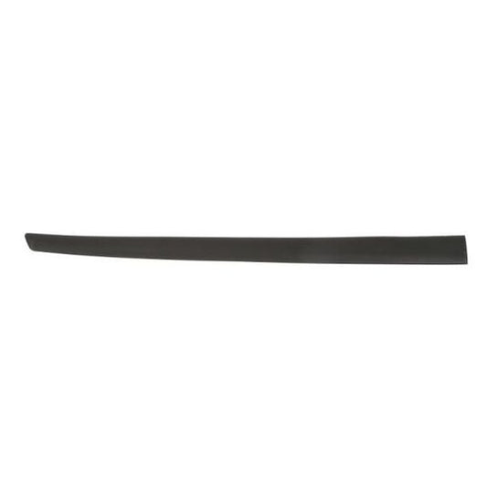 Blic 5703-04-2564571CP Trim/Protective Strip, door to suit Ford