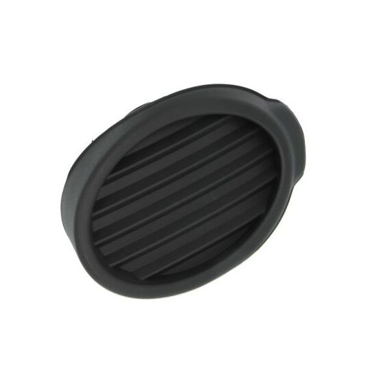 Blic Ventilation Grille, bumper to suit Ford