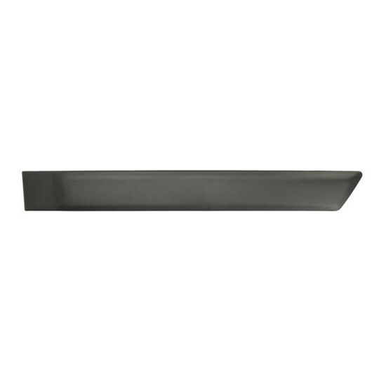 Blic Trim/Protective Strip, door to suit Ford