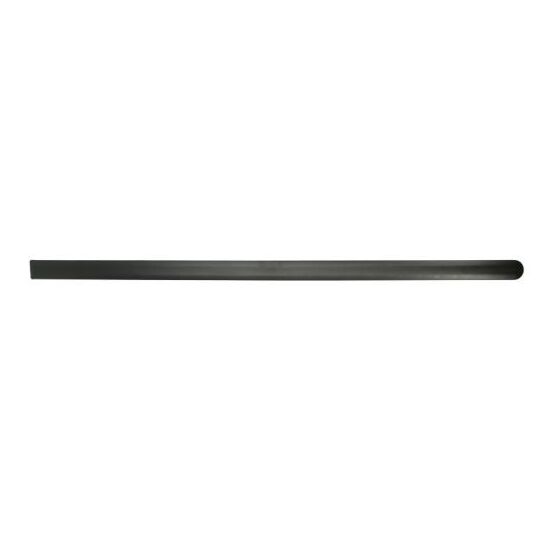 Blic Trim/Protective Strip, door to suit Ford