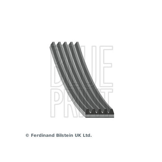 Blue Print V-Ribbed Belt to suit Toyota, BMW, Hyundai