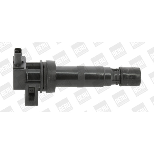 Borgwarner (Beru) Ignition Coil to suit Hyundai, Kia, Hitachi