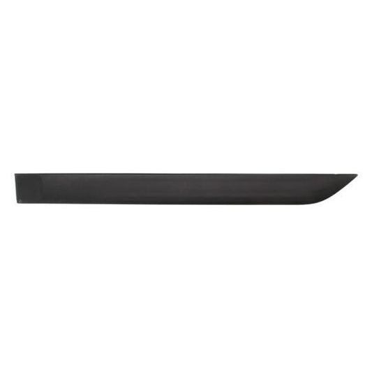Blic Trim/Protective Strip, door to suit Ford