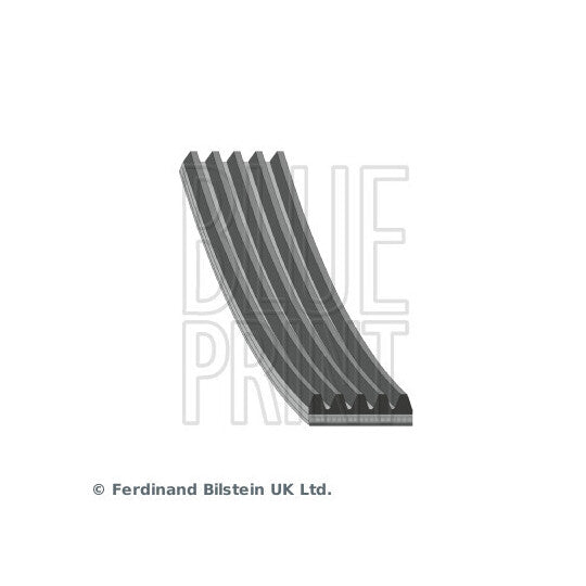 Blue Print V-Ribbed Belt to suit Mitsubishi, Smart