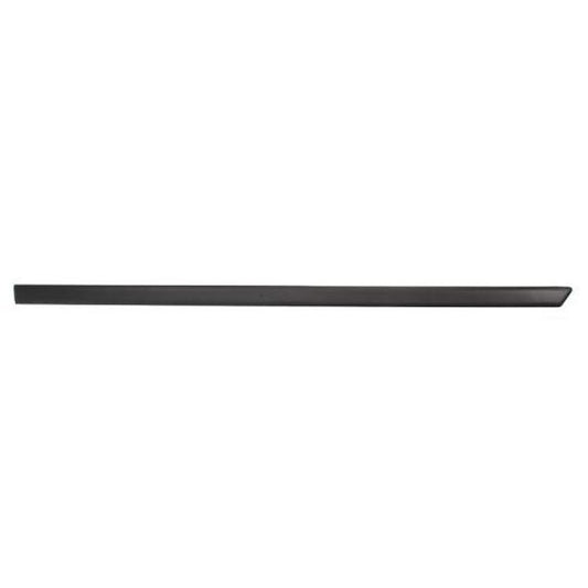 Blic 5703-04-2564576P Trim/Protective Strip, door to suit Ford