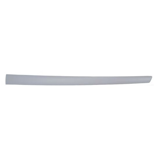 Blic Trim/Protective Strip, door to suit Ford