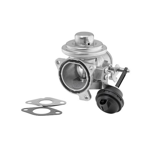 Borgwarner (Wahler) EGR Valve to suit Audi, VW, Hitachi