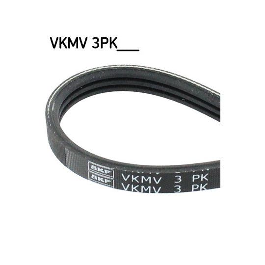 Skf V-Ribbed Belt to suit Ford, Fiat, Alfa Romeo
