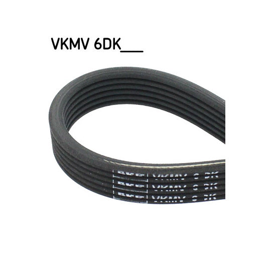 Skf V-Ribbed Belt to suit Ford, Audi, VW