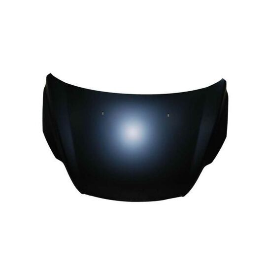 Blic Bonnet to suit Ford