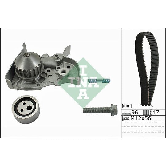 Ina Water Pump & Timing Belt Set to suit Renault