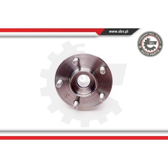 Esen Skv Wheel Bearing Kit to suit Ford