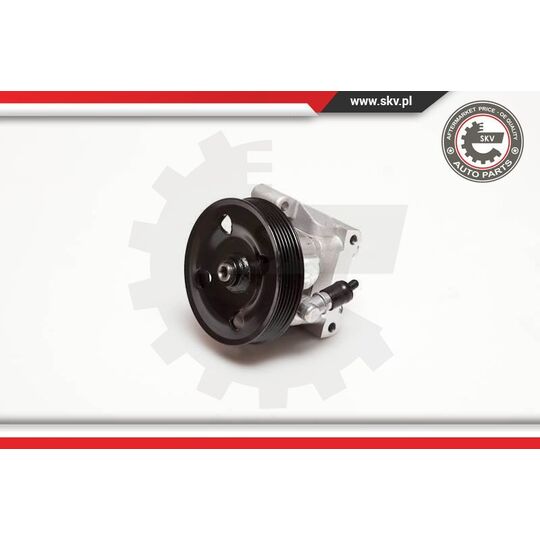 Esen Skv Hydraulic Pump, steering system to suit Ford