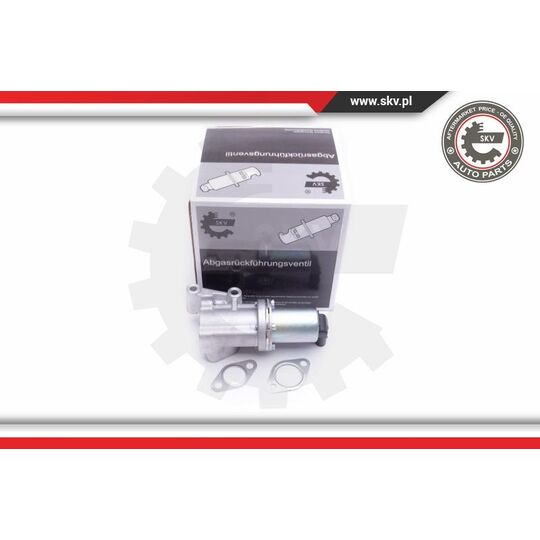 Esen Skv EGR Valve to suit Hyundai, Kia, Hitachi