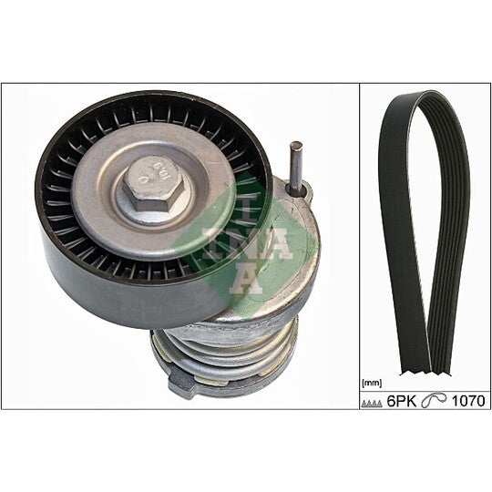Ina V-Ribbed Belt Set to suit Audi, VW, Seat