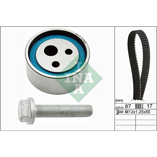 Ina Timing Belt Set to suit Nissan, Renault