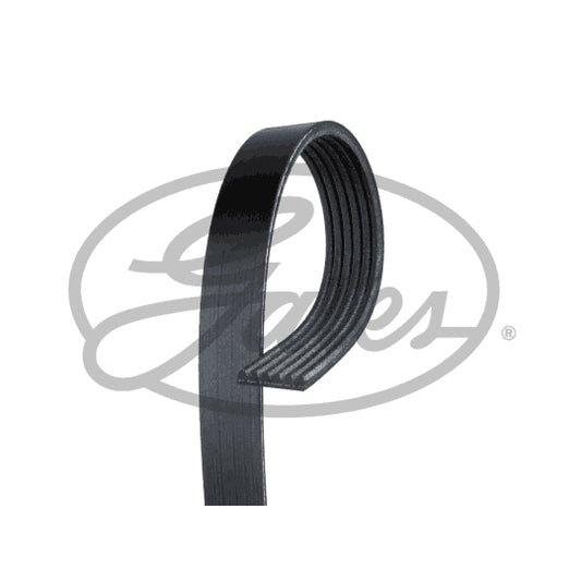 Bosch V-Ribbed Belt to suit Ford, VW