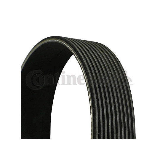 Continental Ctam V-Ribbed Belt to suit Mercedes-Benz, Freightliner, Scania
