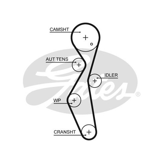 Gates Timing Belt to suit Toyota, Ford, Peugeot