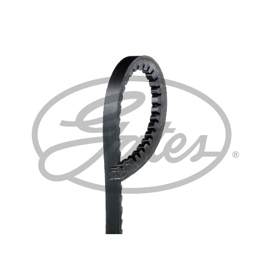 Magneti Marelli V-belt to suit Ford, VW, Mercedes-Benz